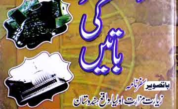 بابا جی سید میر طیب علی شاہ بخاری سجادہ نشین حضرت کرماں والے مرشد العصر کی باتیں (باتصویر سفرنامہ زیارت مزارت اولیاء واقع ہندوستان) 12 Murshid-ul-Asar ki Baten